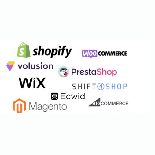 Professional Ecommerce Development Services